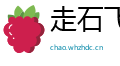 走石飞沙网